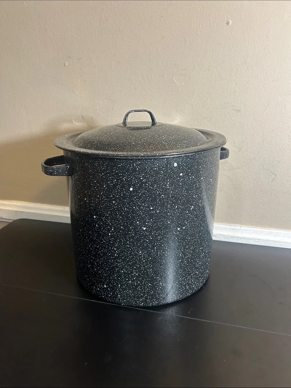 Black Speckled Stockpot with Lid - Heavy-Duty Cooking Pot Large.